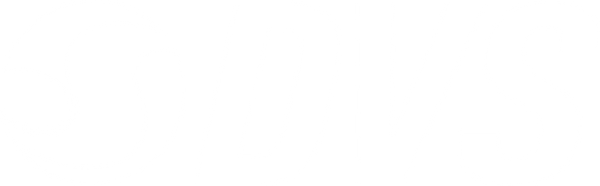 DVS Logo