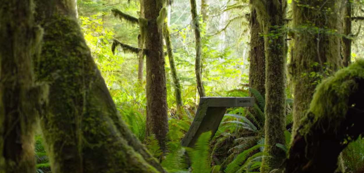 "The Secret Ramp In The Woods" The Jamie Collins Legacy
