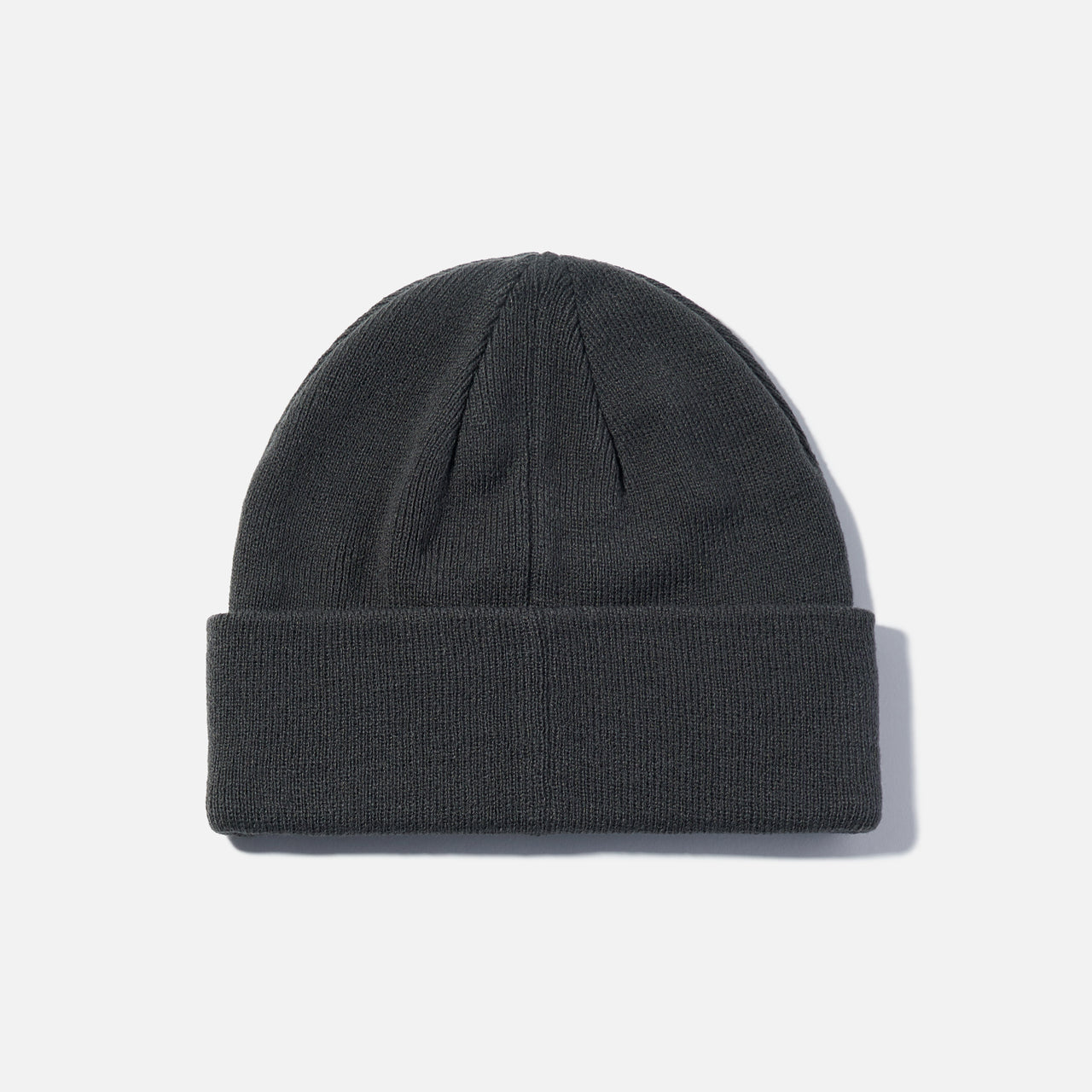 DVS Action Beanie