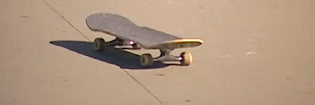 Dvs skateboard 2025